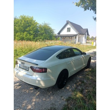 Audi A5  Sedan/Limuzyna 2010,  2.0 benzyna - Na sprzedaż za 22 500 zł - Tarnów - zdjęcie 4