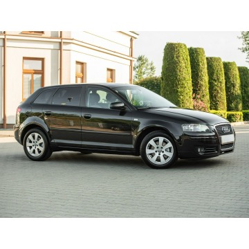 Audi A3  Hatchback 2007,  2.0 diesel, automat - Na sprzedaż za 18 900 zł - Podzagajnik - zdjęcie 3