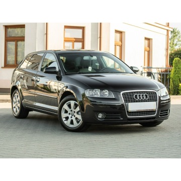 Audi A3  Hatchback 2007,  2.0 diesel, automat - Na sprzedaż za 18 900 zł - Podzagajnik - zdjęcie 2