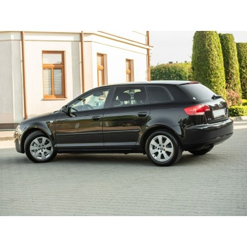 Audi A3  Hatchback 2007,  2.0 diesel, automat - Na sprzedaż za 18 900 zł - Podzagajnik - zdjęcie 6