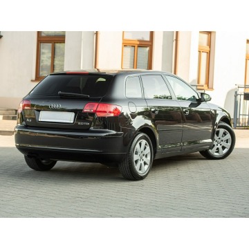 Audi A3  Hatchback 2007,  2.0 diesel, automat - Na sprzedaż za 18 900 zł - Podzagajnik - zdjęcie 9