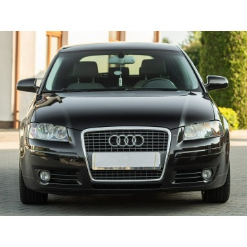 Audi A3  Hatchback 2007,  2.0 diesel, automat - Na sprzedaż za 18 900 zł - Podzagajnik - zdjęcie 11