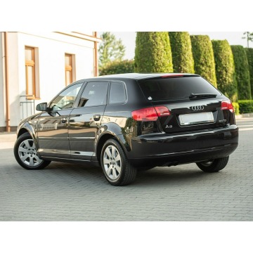 Audi A3  Hatchback 2007,  2.0 diesel, automat - Na sprzedaż za 18 900 zł - Podzagajnik - zdjęcie 5