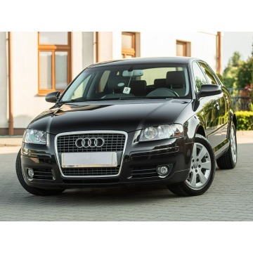 Audi A3  Hatchback 2007,  2.0 diesel, automat - Na sprzedaż za 18 900 zł - Podzagajnik - zdjęcie 12