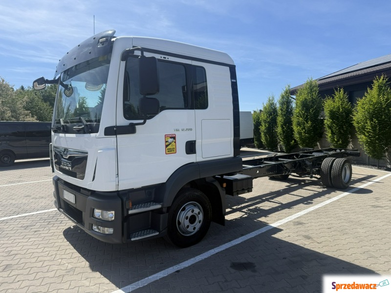 Man  2020,  4.6 diesel, automat - Na sprzedaż za 174 537 zł - Zielona Łąka