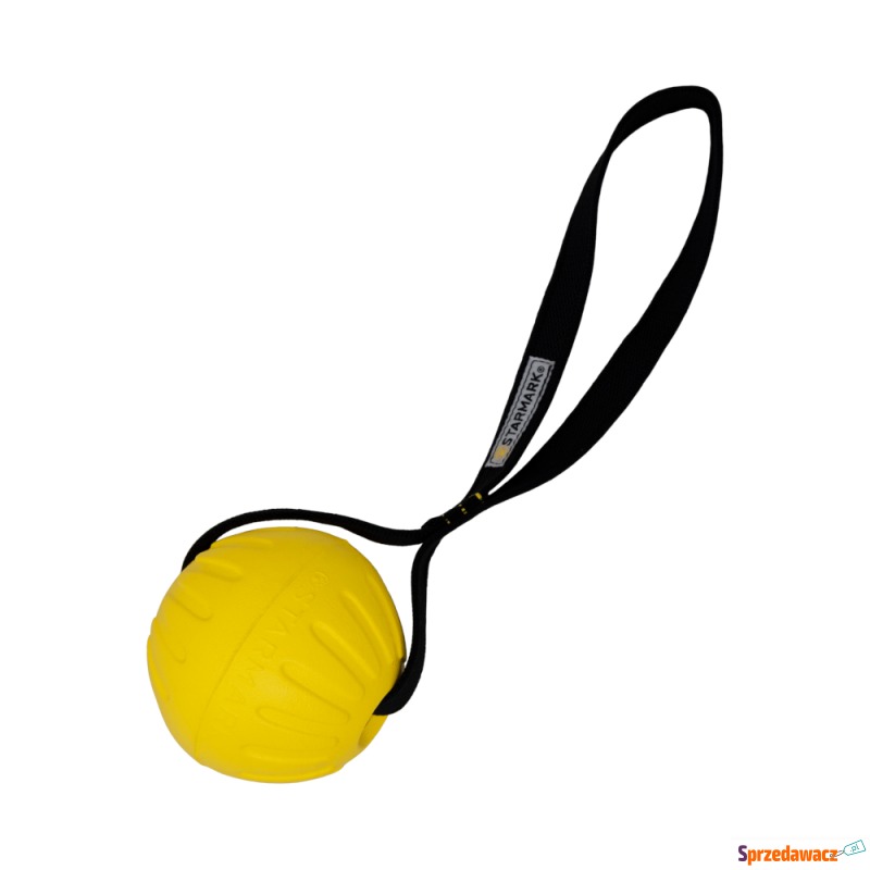 Starmark GripCord Durafoam Ball...