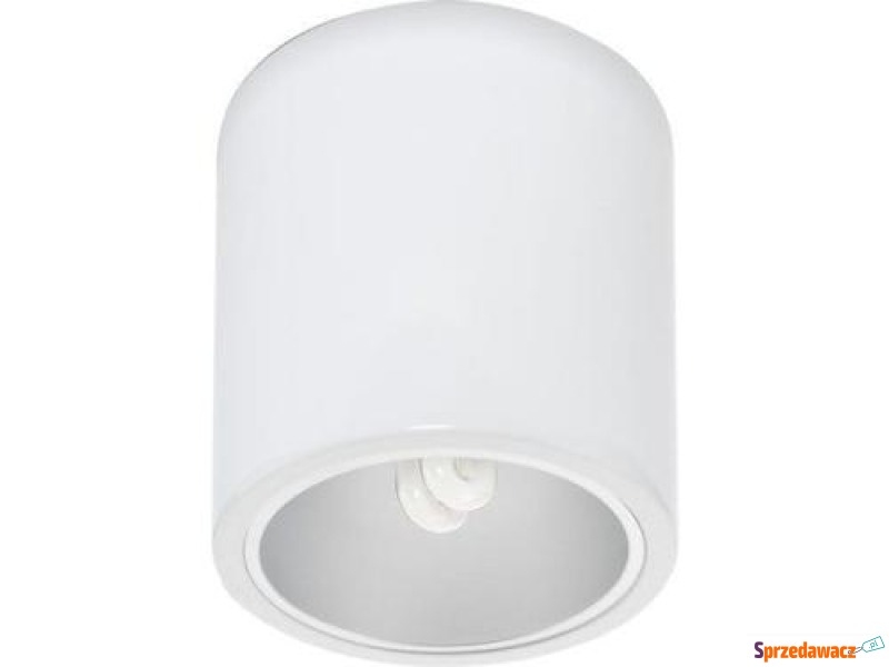 SPOT NATYNKOWY DOWNLIGHT WHITE...