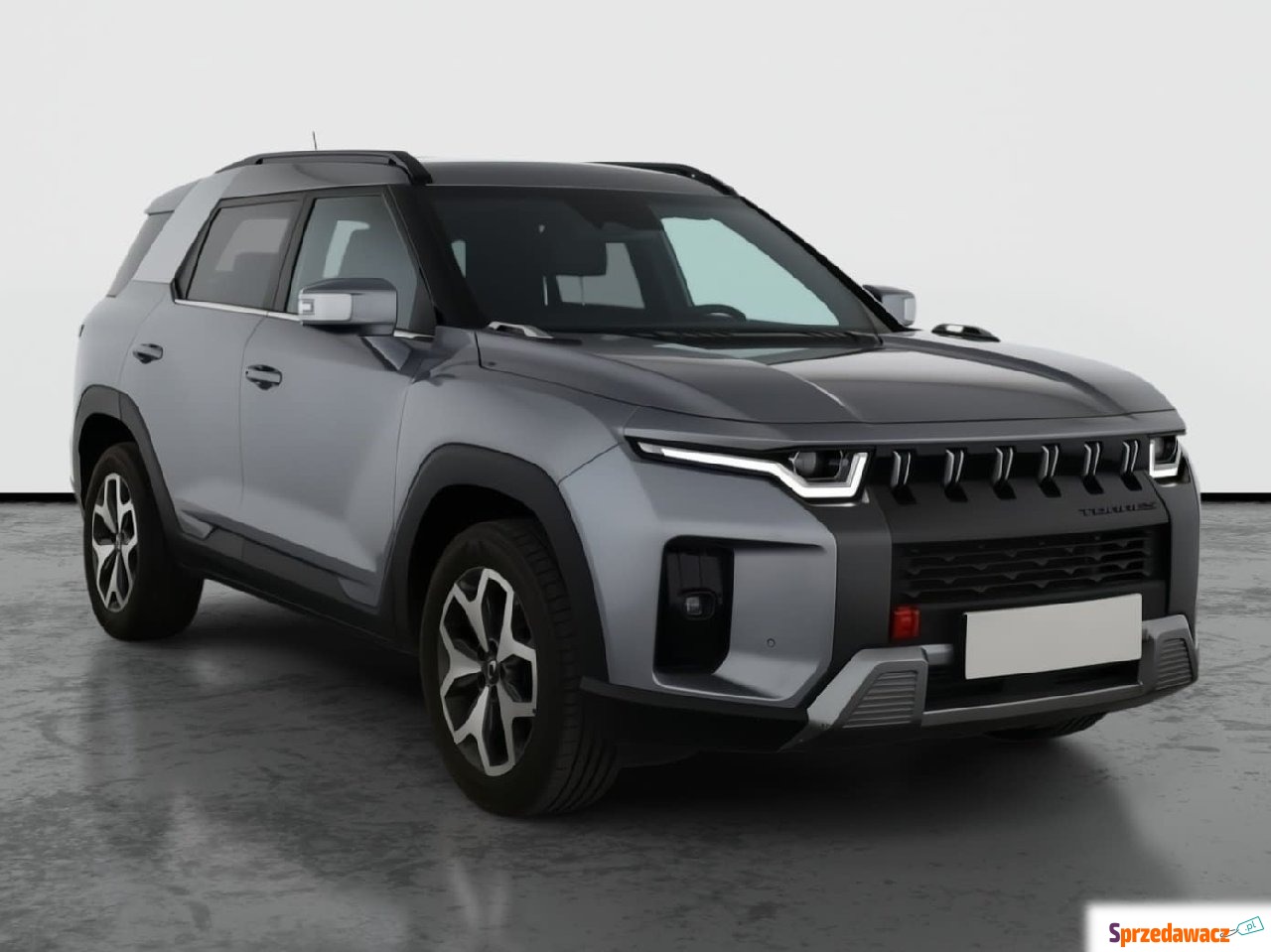 SsangYong 2023