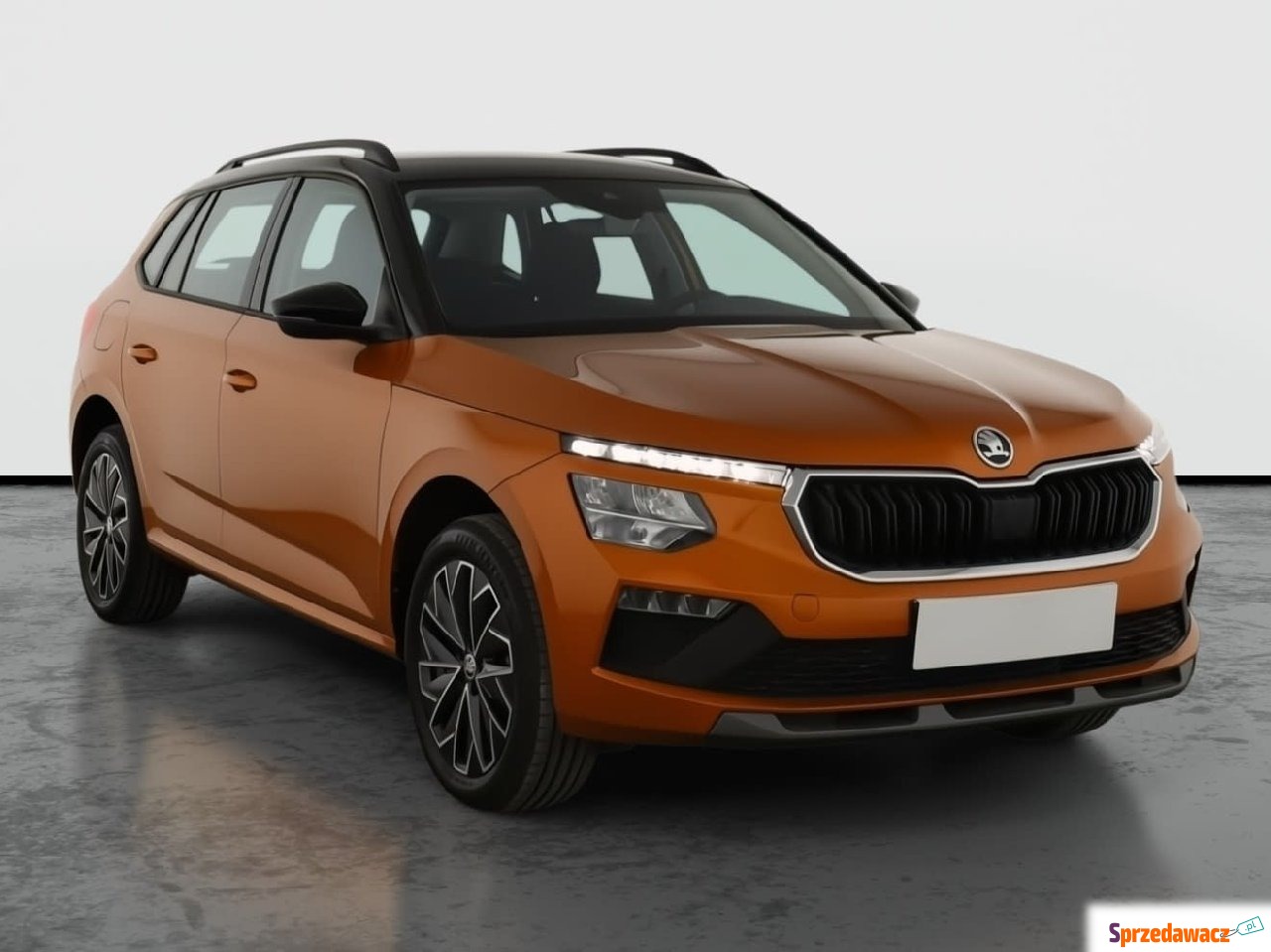 Skoda 2024