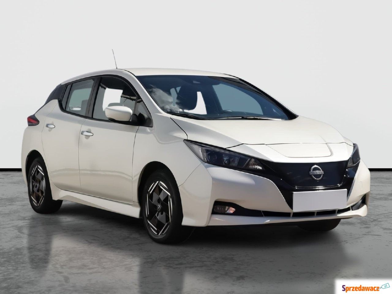 Nissan Leaf 2022
