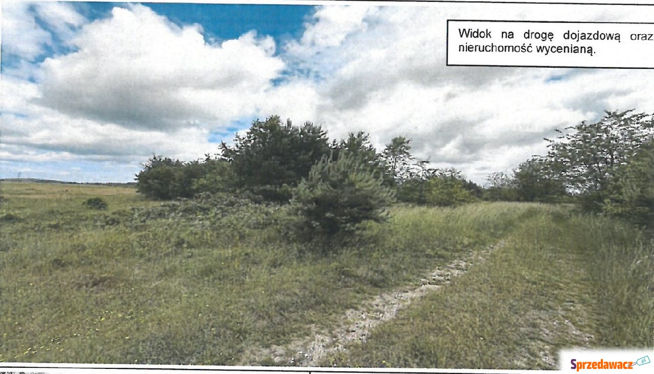 Nieruchomość - Olsztyn