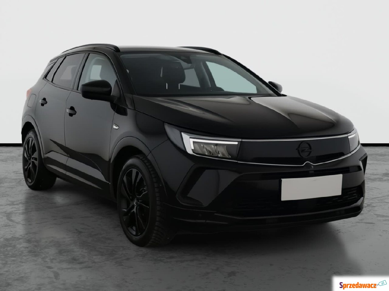 Opel 2022