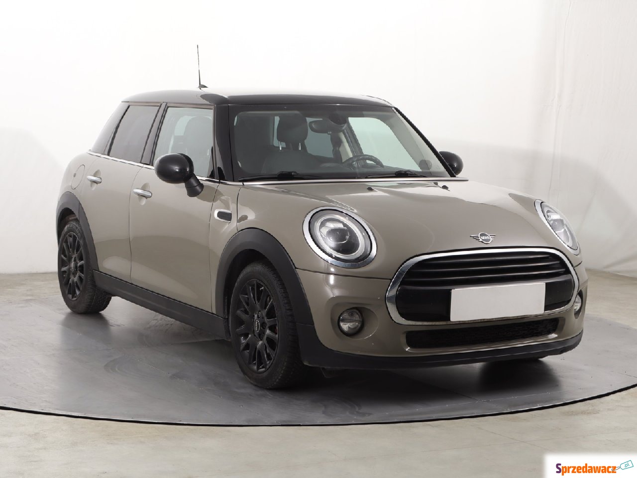 Mini 2019