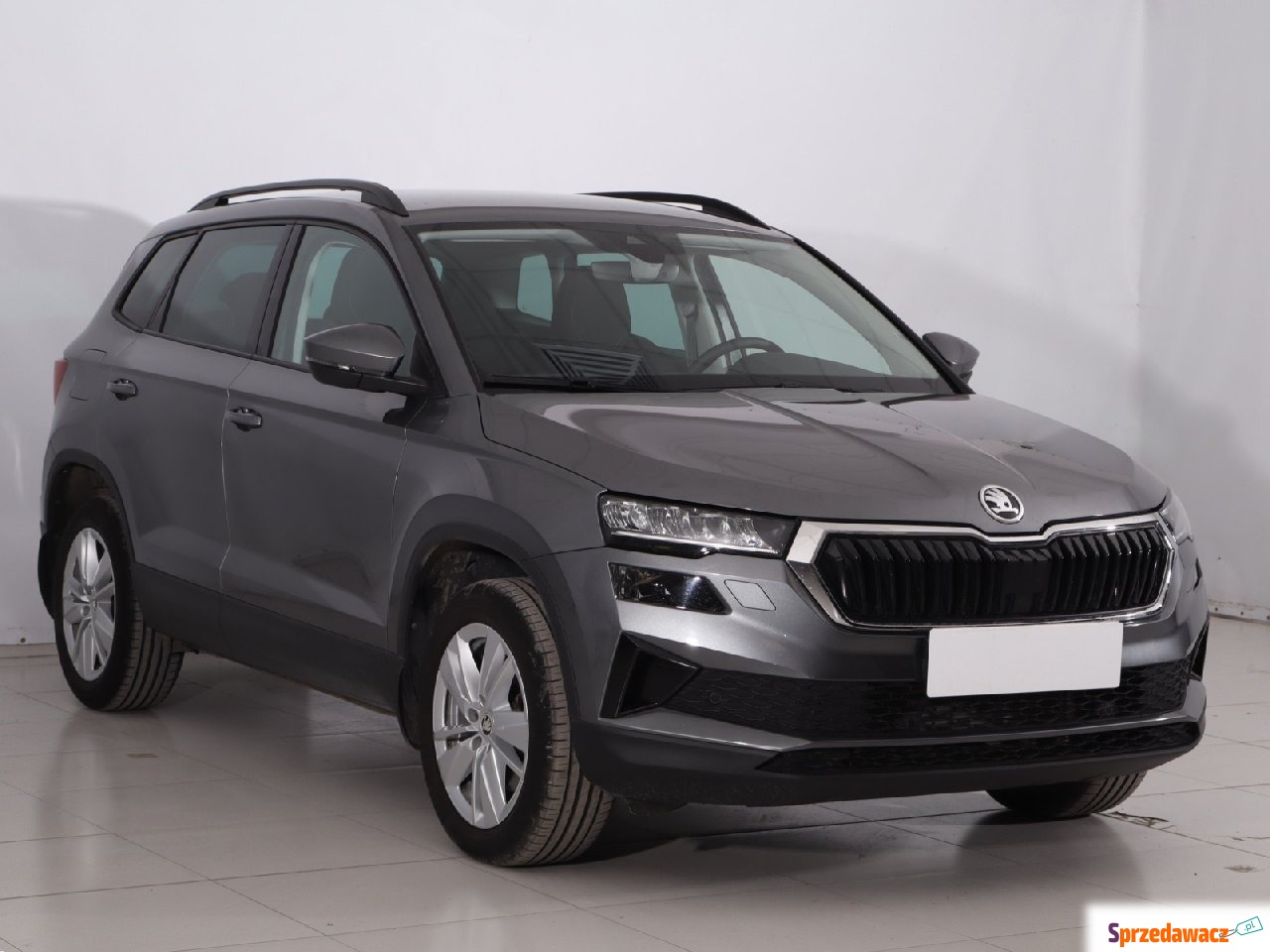 Skoda 2024