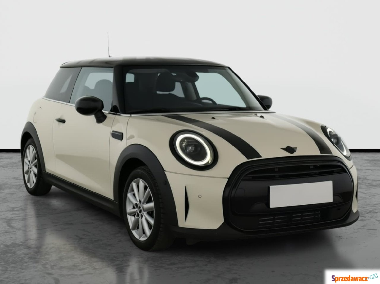 Mini 2021