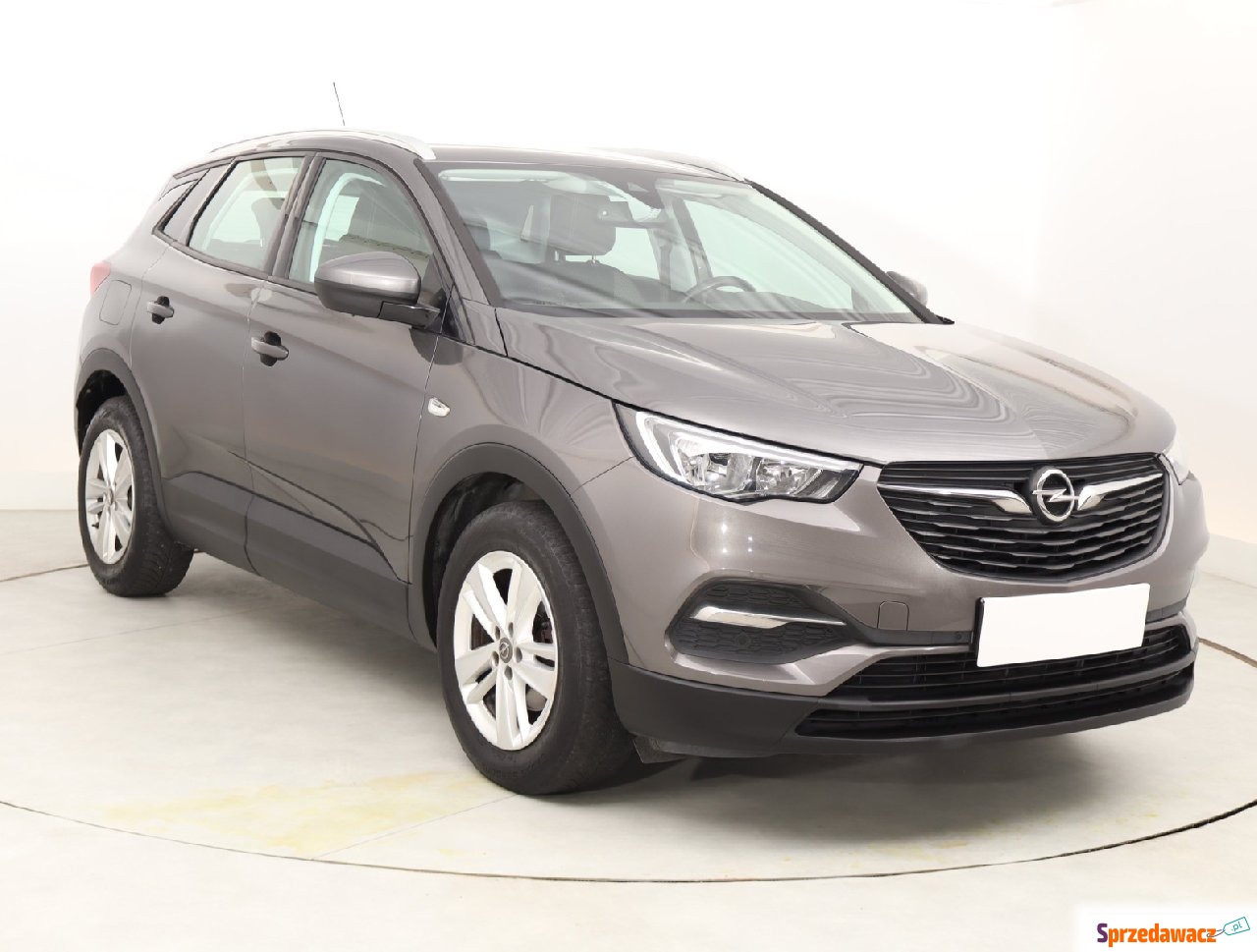 Opel 2019