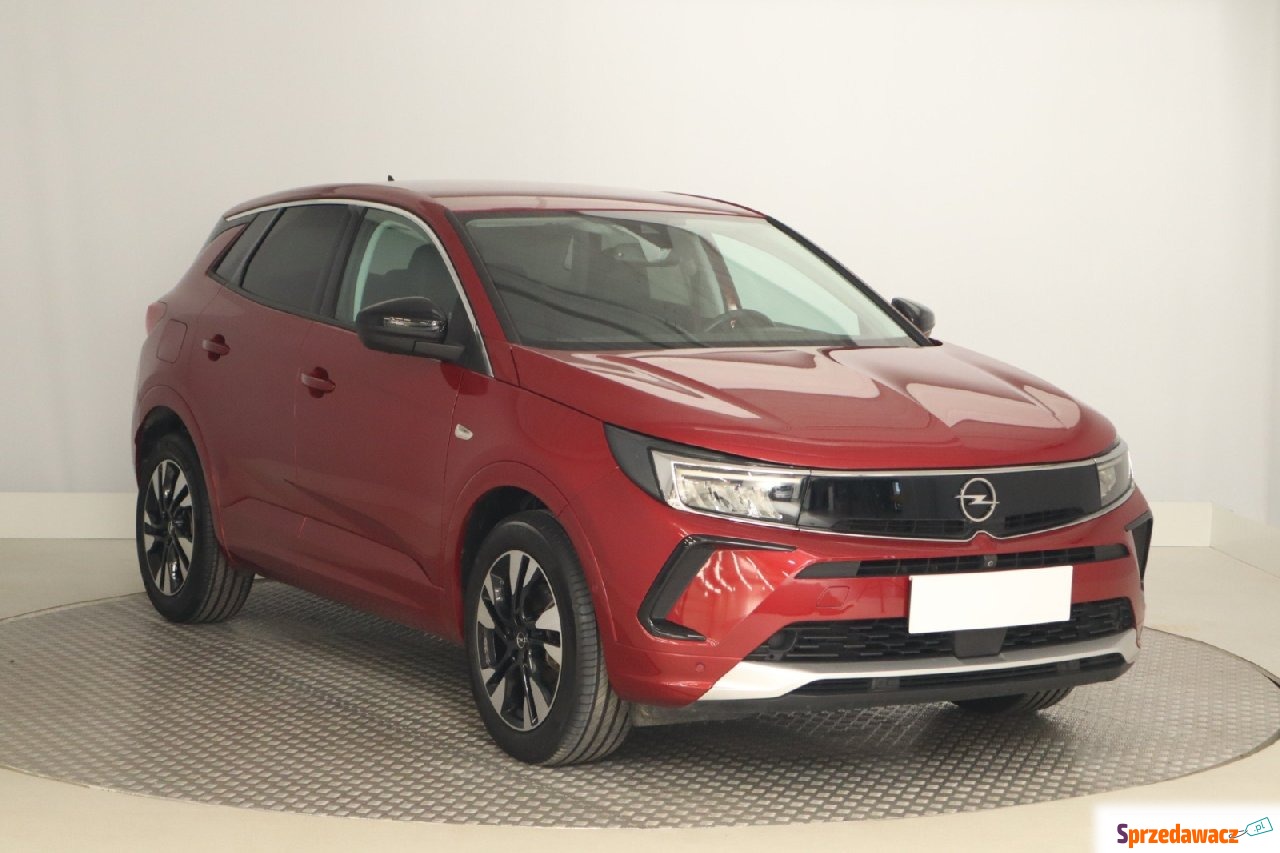 Opel 2023