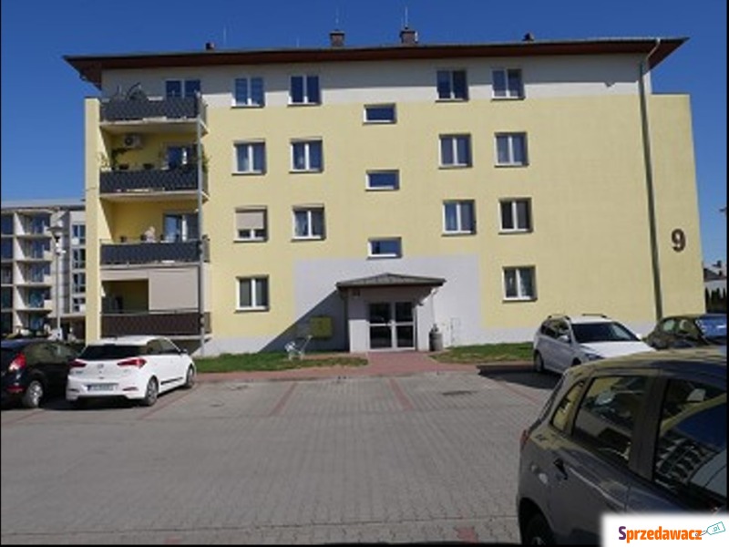 Mieszkanie - Słubice