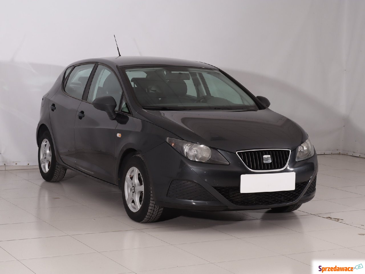 Seat Ibiza 2010