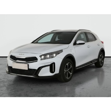 Kia   Hatchback 2024,  1.6 benzyna, automat - Na sprzedaż za 124 999 zł - Bielany Wrocławskie - zdjęcie 3