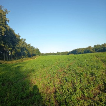 Działka rolna na sprzedaż, 50000m², Skowrony
