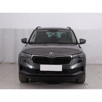 Skoda   SUV 2024,  1.5 benzyna - Na sprzedaż za 99 999 zł - Włocławek - zdjęcie 2