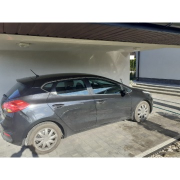 Kia Ceed  Hatchback 2012,  1.6 benzyna - Na sprzedaż za 33 800 zł - Rzeszów - zdjęcie 3