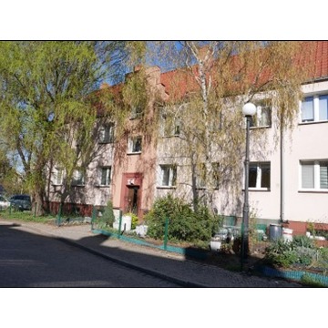 Mieszkanie - Słubice