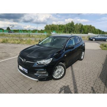Opel Grandland X  SUV 2019,  1.5 diesel, automat - Na sprzedaż za 49 800 zł - Lipówki - zdjęcie 2