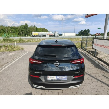 Opel Grandland X  SUV 2019,  1.5 diesel, automat - Na sprzedaż za 49 800 zł - Lipówki - zdjęcie 8