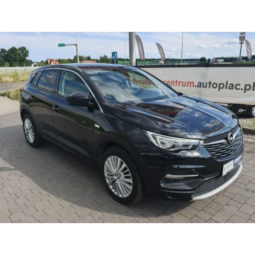 Opel Grandland X  SUV 2019,  1.5 diesel, automat - Na sprzedaż za 49 800 zł - Lipówki - zdjęcie 6