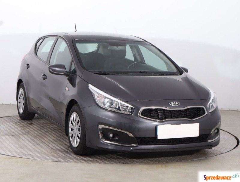 Kia Ceed  Hatchback 2016,  1.6 benzyna, automat - Na sprzedaż za 41 499 zł - Opole