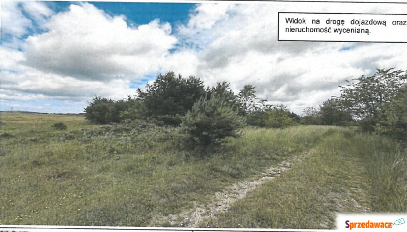 Nieruchomość - Olsztyn - Działki na sprzedaż - Olsztyn