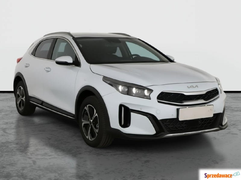 Kia   Hatchback 2024,  1.6 benzyna, automat - Na sprzedaż za 124 999 zł - Bielany Wrocławskie