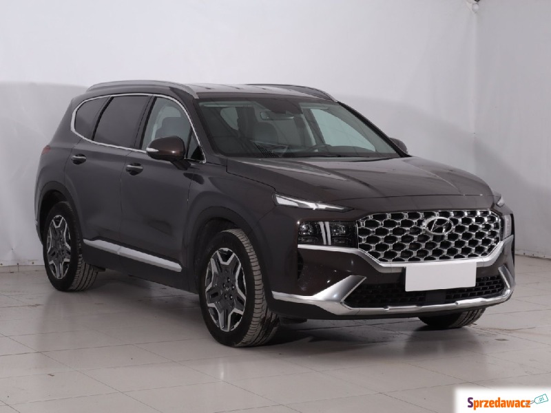 Hyundai Santa Fe  SUV 2022,  1.6 benzyna, automat - Na sprzedaż za 139 999 zł - Krosno