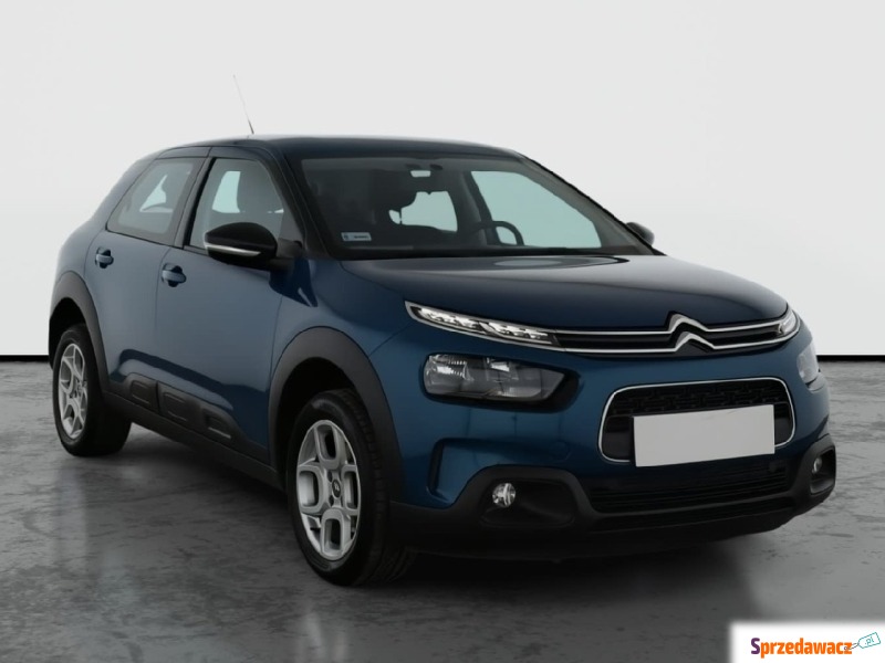 Citroen C4 Cactus  Hatchback 2019,  1.2 benzyna - Na sprzedaż za 40 999 zł - Piaseczno