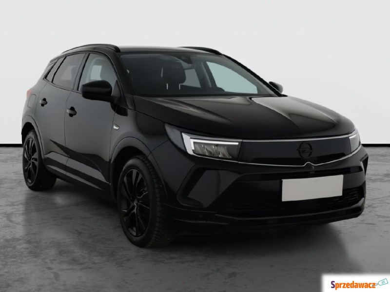 Opel   SUV 2022,  1.6 benzyna, automat - Na sprzedaż za 78 499 zł - Piaseczno
