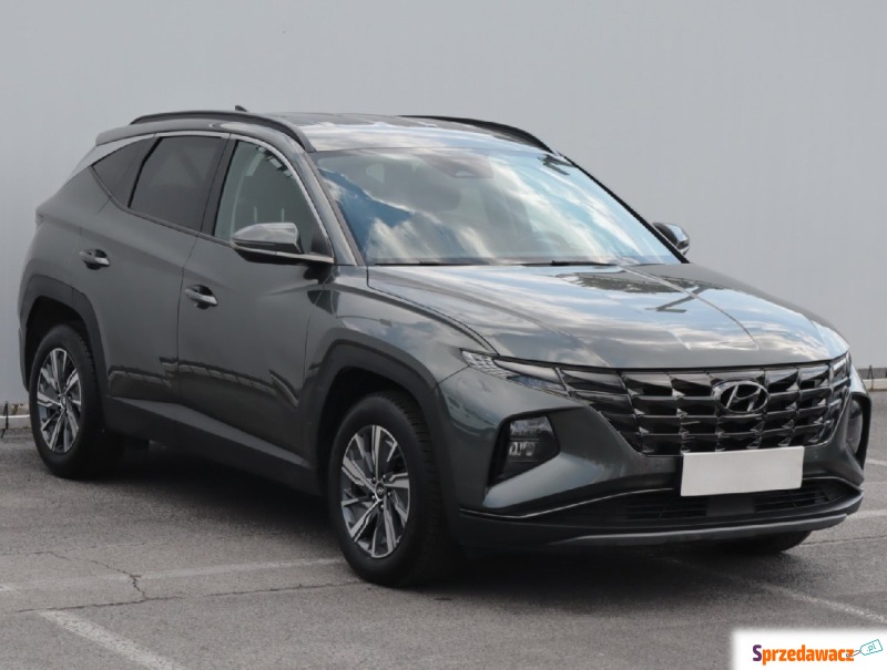 Hyundai Tucson  SUV 2023,  1.6 benzyna, automat - Na sprzedaż za 95 999 zł - Lublin