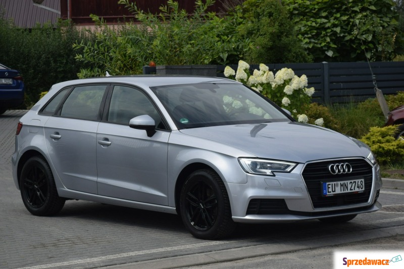 Audi A3  Hatchback 2017,  1.0 benzyna - Na sprzedaż za 42 900 zł - Majdan Sieniawski