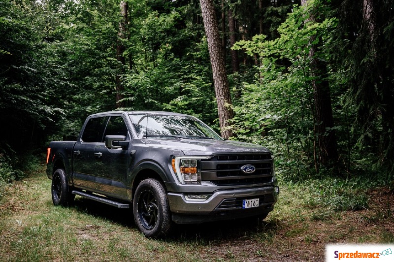 Ford F150  Pick-up 2023,  5.0 benzyna, automat - Na sprzedaż za 195 000 zł - Działdowo