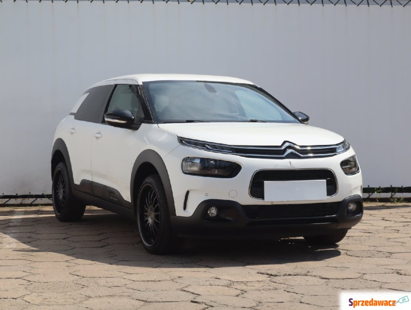 Citroen C4 Cactus  Hatchback 2019,  1.2 benzyna - Na sprzedaż za 33 999 zł - Łódź