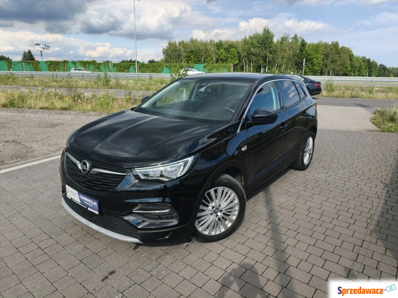 Opel Grandland X  SUV 2019,  1.5 diesel, automat - Na sprzedaż za 49 800 zł - Lipówki