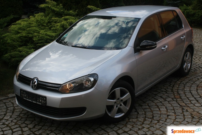 Volkswagen Golf  Hatchback 2009,  1.6 benzyna - Na sprzedaż za 22 700 zł - Lubań