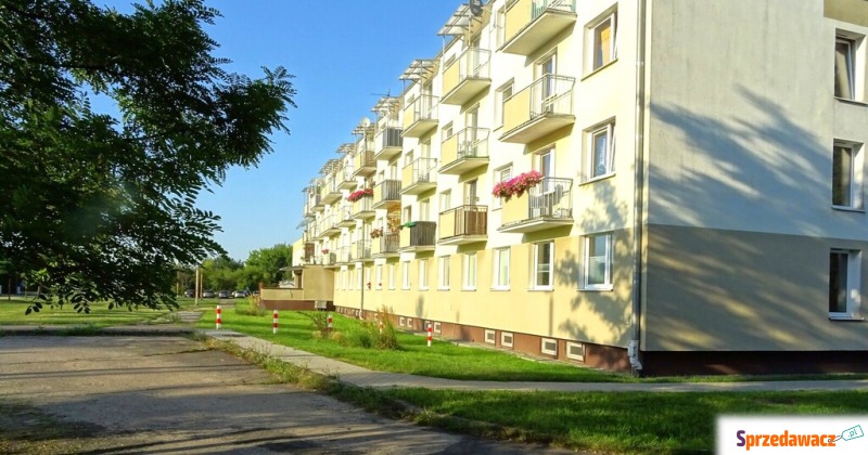 Kawalerka - po remoncie - blisko...