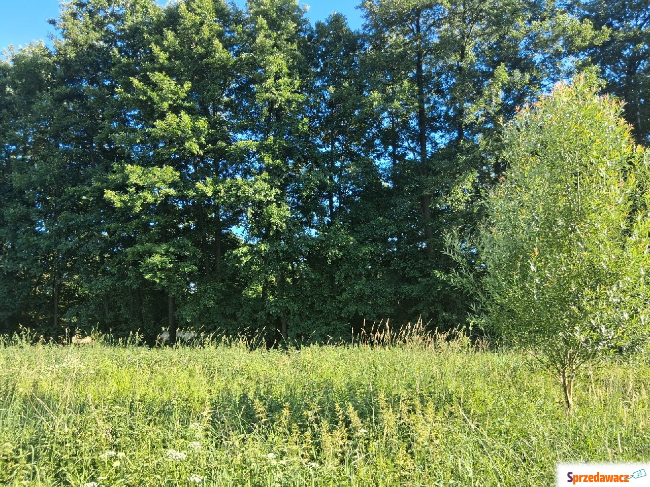 Działka z warunkami zabudowy pod...
