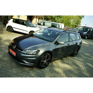Volkswagen Golf  Kombi 2019,  1.6 diesel - Na sprzedaż za 35 600 zł - Płock - zdjęcie 2