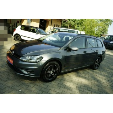 Volkswagen Golf  Kombi 2019,  1.6 diesel - Na sprzedaż za 35 600 zł - Płock - zdjęcie 3
