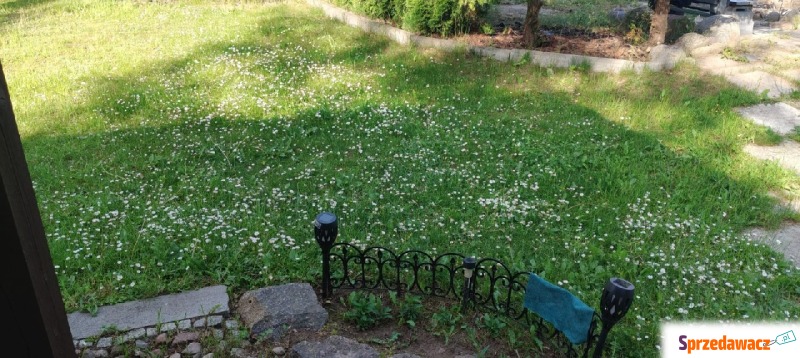 Działka rekreacyjna Zwierzewo sprzedam, pow. 1000 m2  (10a), uzbrojona