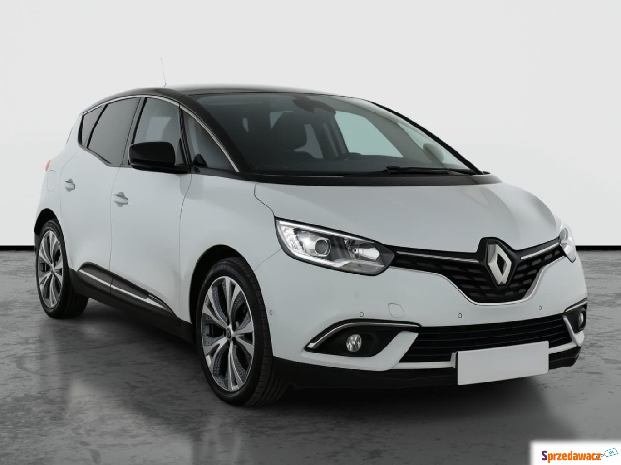 Renault Scenic 2019