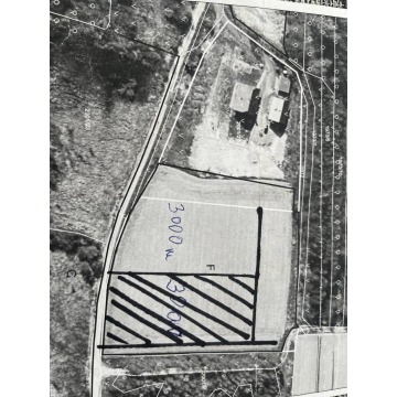 Działka siedliskowa na sprzedaż, 3000m², Bachowice, Ks. Gołby